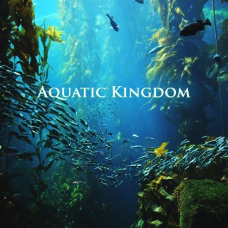 Aquatic Kingdom: Relaxing Sounds of Rain & Flowing Water to Promote Undisturbed Sleep, Self-Composure, Mind & Body Tension Release