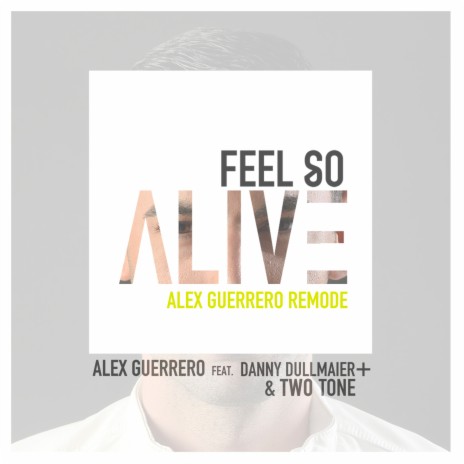 Feel so Alive (Extended Remode) ft. Daniel Dullmaier & Two Tone | Boomplay Music