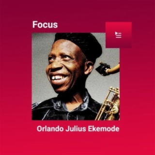 Focus: Orlando Julius Ekemode