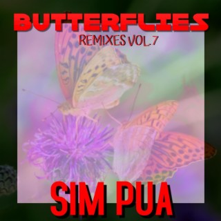 Butterflies (Remixes Vol . 7)