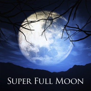 Super Full Moon: September 2022 & Meditation to Activate Your Higher Mind