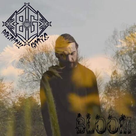 BLOOM | Boomplay Music