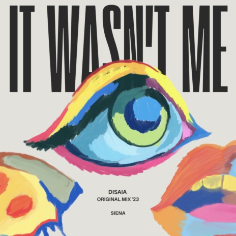 It Wasn't Me (Radio Edit) | Boomplay Music