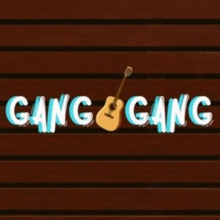 Ganggang Akustik