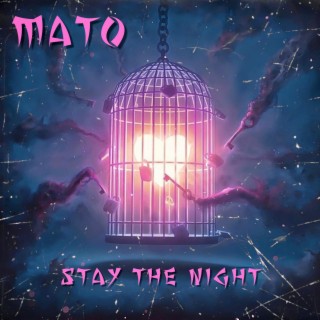 Stay The NIGHT lyrics | Boomplay Music