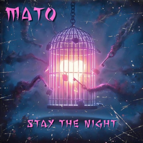 Stay The NIGHT | Boomplay Music