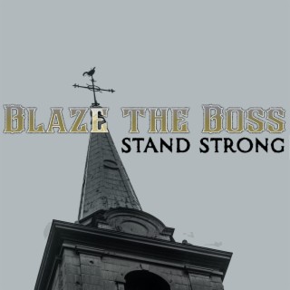 Blaze the Boss