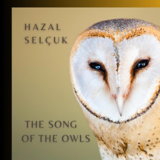 The Song of the Owls / Baykuşların Şarkısı