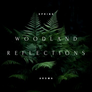 Woodland Reflections: Kalimba Tunes for Inner Calm