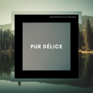 Pur délice: Musique instrumentale relaxante pour la tranquillité