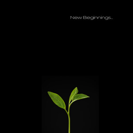 New Beginnings | Boomplay Music