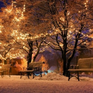 Christmas Wonderland