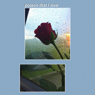 Poison That I Love