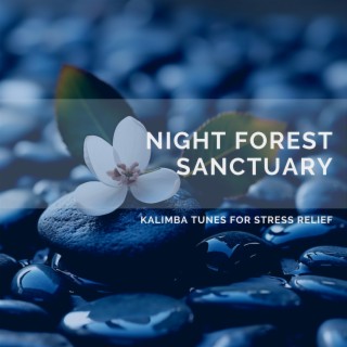 Night Forest Sanctuary: Kalimba Tunes for Stress Relief