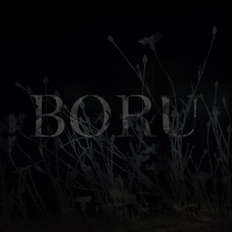 Boru | Boomplay Music