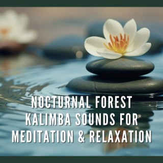 Nocturnal Forest: Kalimba Sounds for Meditation & Relaxation