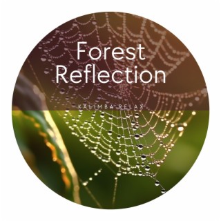 Forest Reflection - Kalimba Contemplation, Quiet, Harmony