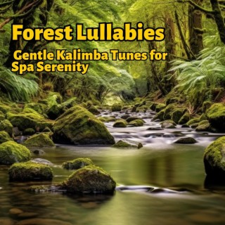 Forest Lullabies: Gentle Kalimba Tunes for Spa Serenity