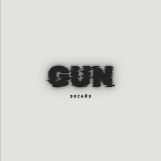 Gun