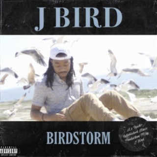 BIRDSTORM