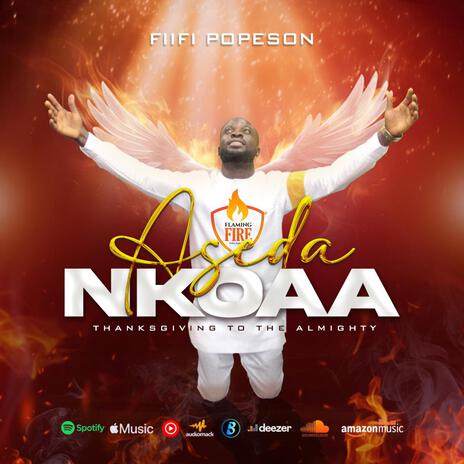 Aseda Nkoaa | Boomplay Music