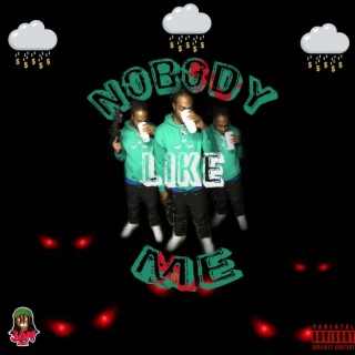 Nobody Like Me