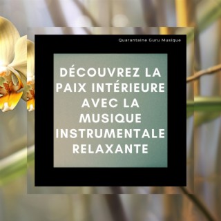 Découvrez la paix intérieure avec la musique instrumentale relaxante