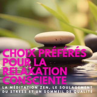 Choix préférés pour la relaxation consciente, La méditation Zen, Le soulagement du stress et un sommeil de qualité