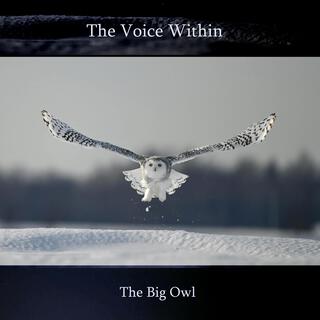 The Big Owl