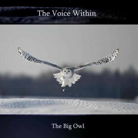 The Big Owl | Boomplay Music