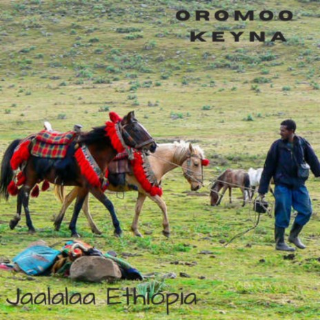 Jaalalaa Ethiópia | Boomplay Music