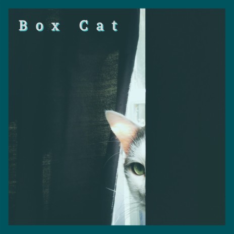 Box cat (extended remix) | Boomplay Music