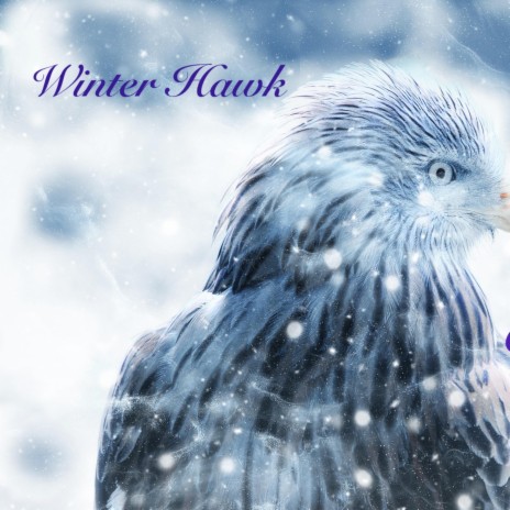 Winter Hawk ft. Clare Steffen | Boomplay Music