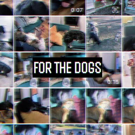 For the Dogs | Boomplay Music