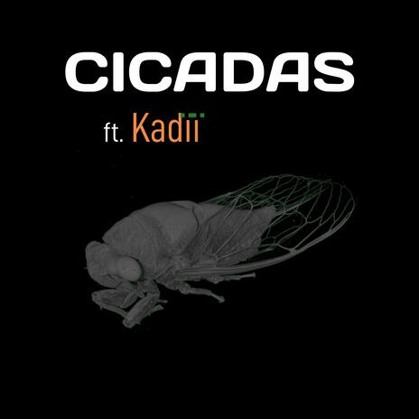 Cicadas ft. Kadïï | Boomplay Music