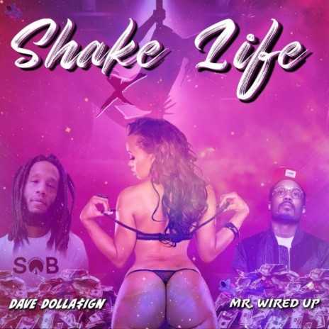 Shake Life ft. Mr. Wired Up | Boomplay Music