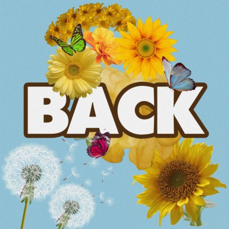 Back | Boomplay Music