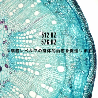 512 Hz、576 Hz は細胞レベルでの身体的治癒を促進します: 太陽神経叢のチャクラ、私たちの第 3 のエネルギーセンター、自分自身への愛の周波数