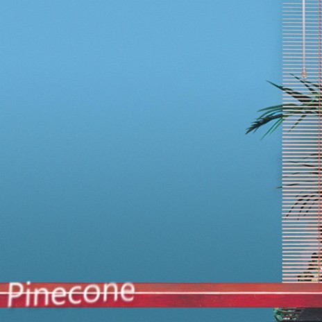 Pinecone