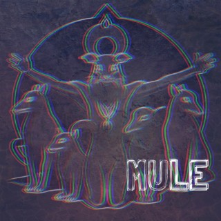 Mule