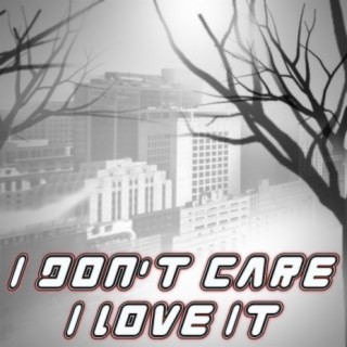 I Don't Care I Love It