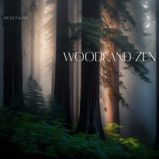 Woodland Zen - Kalimba Healing, Balance, Calm