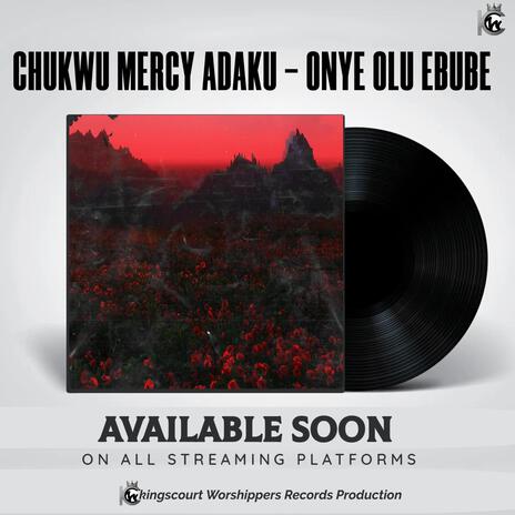 Onye Oluebube (Radio Edit) | Boomplay Music