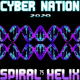 Cyber Nation