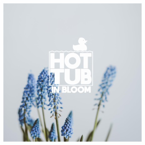 In Bloom | Boomplay Music