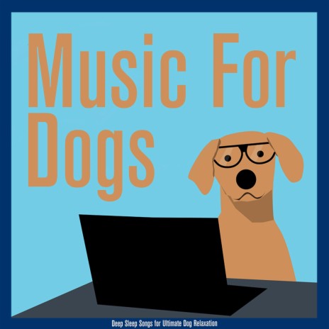 A Night in Spring ft. Dog Music Dreams & Dog Music Therapy | Boomplay Music