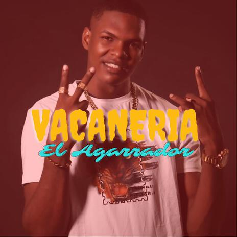 Vacaneria | Boomplay Music