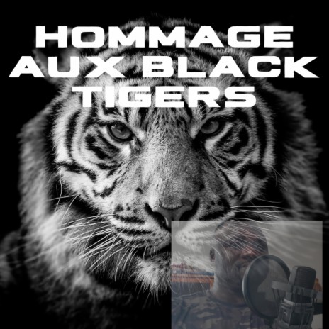 Hommage aux black tigers