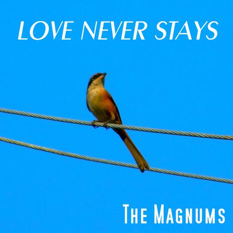 Love Never Stays | Boomplay Music