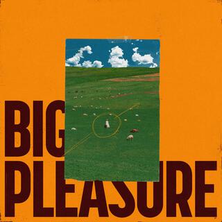 Big Pleasure